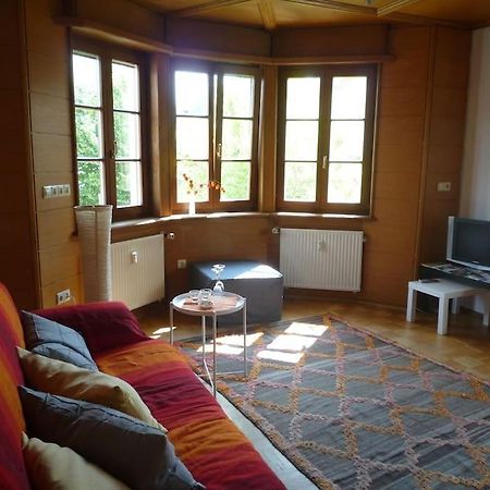 רידלינגן Ferienwohnung Am Donauradwanderweg מראה חיצוני תמונה