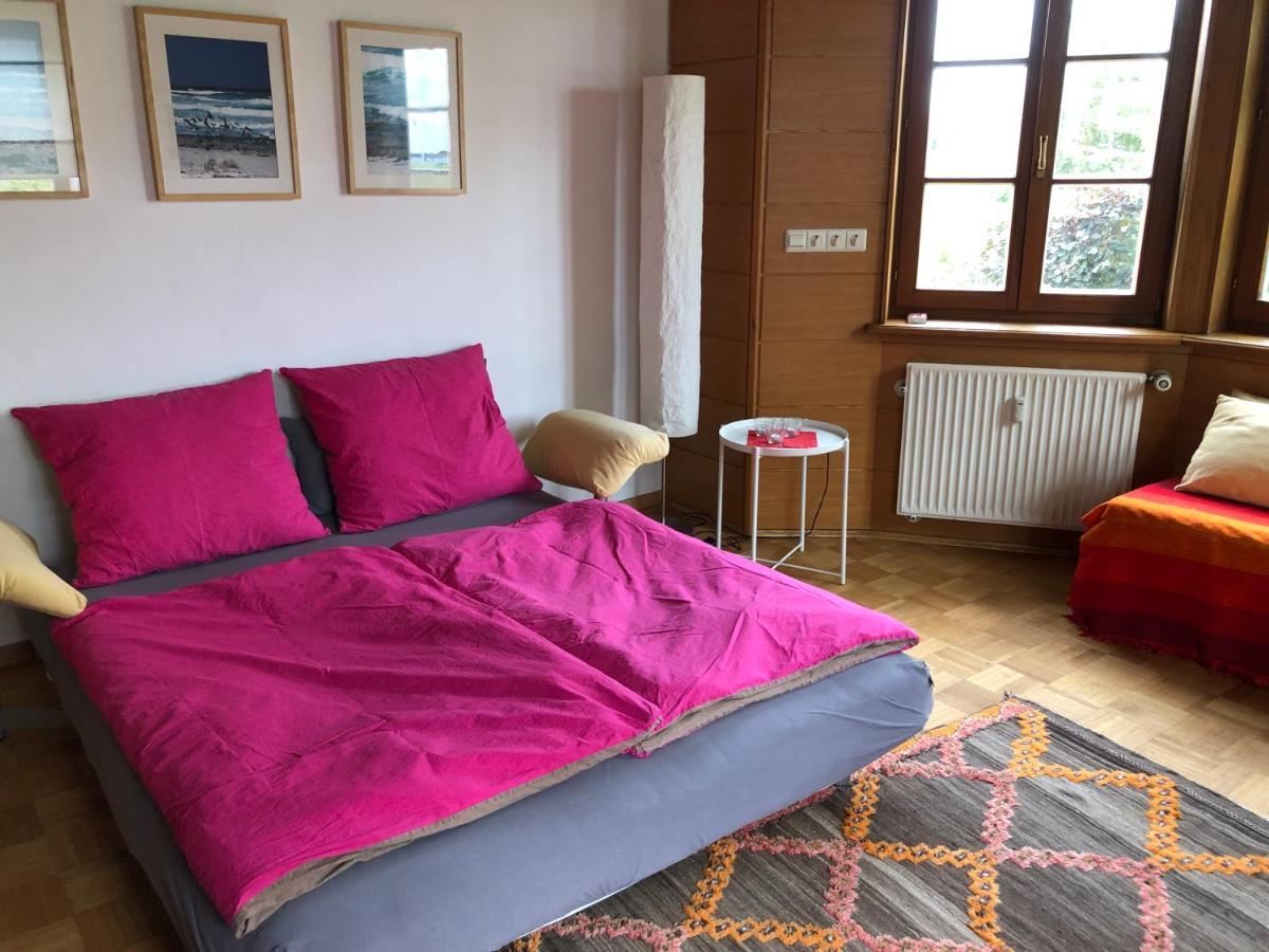 רידלינגן Ferienwohnung Am Donauradwanderweg מראה חיצוני תמונה